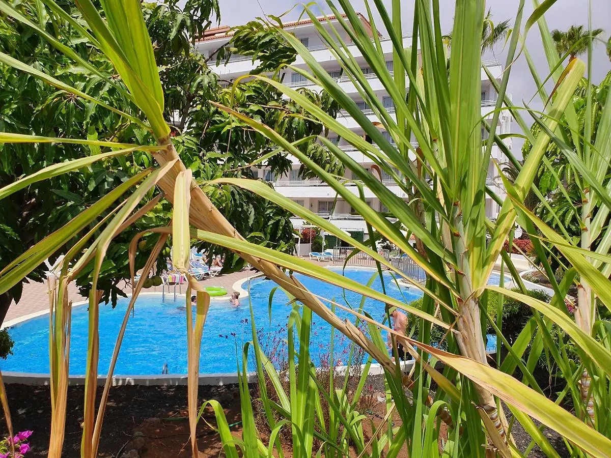 Spectacular Renovated Apartment, 5 Min To Camison Beach, With Aircon Arona  Appartamento Arona (Tenerife)